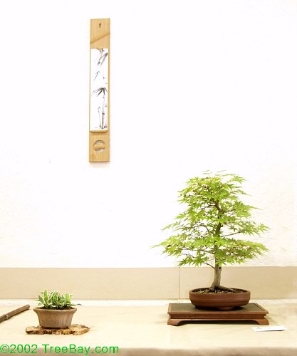 sm_20020421Kusamura 084_adj.jpg